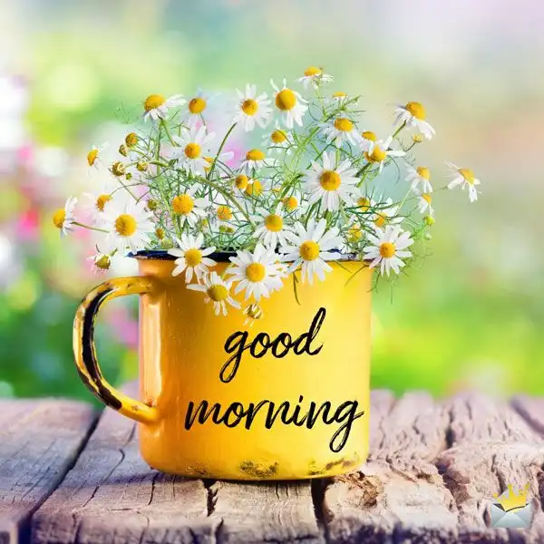new good morning wishes